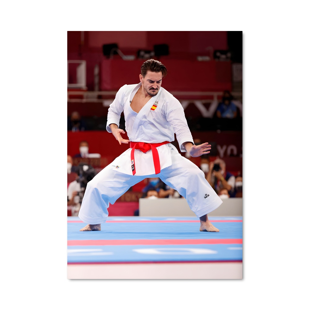 Poster Karateka en Action – affiche Karaté